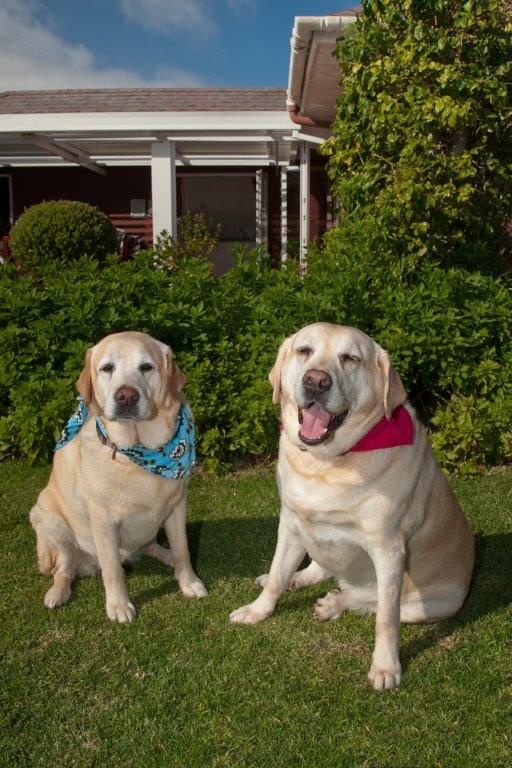 9974de520deb618f28d94e0f5b545a68