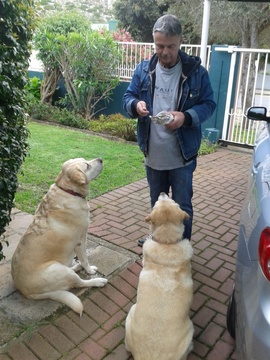 b07c30f6c00afb27681c801231c2a3ac