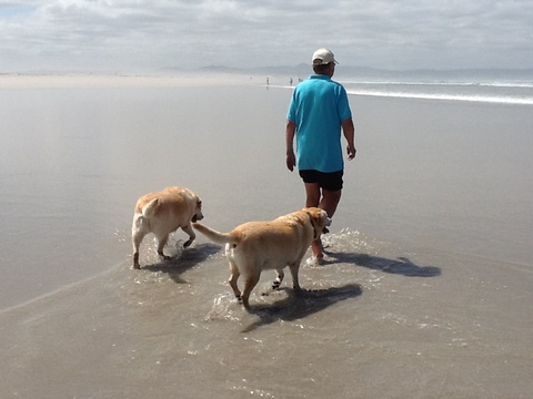 ee670973c0c7248db3835e5d4269a563